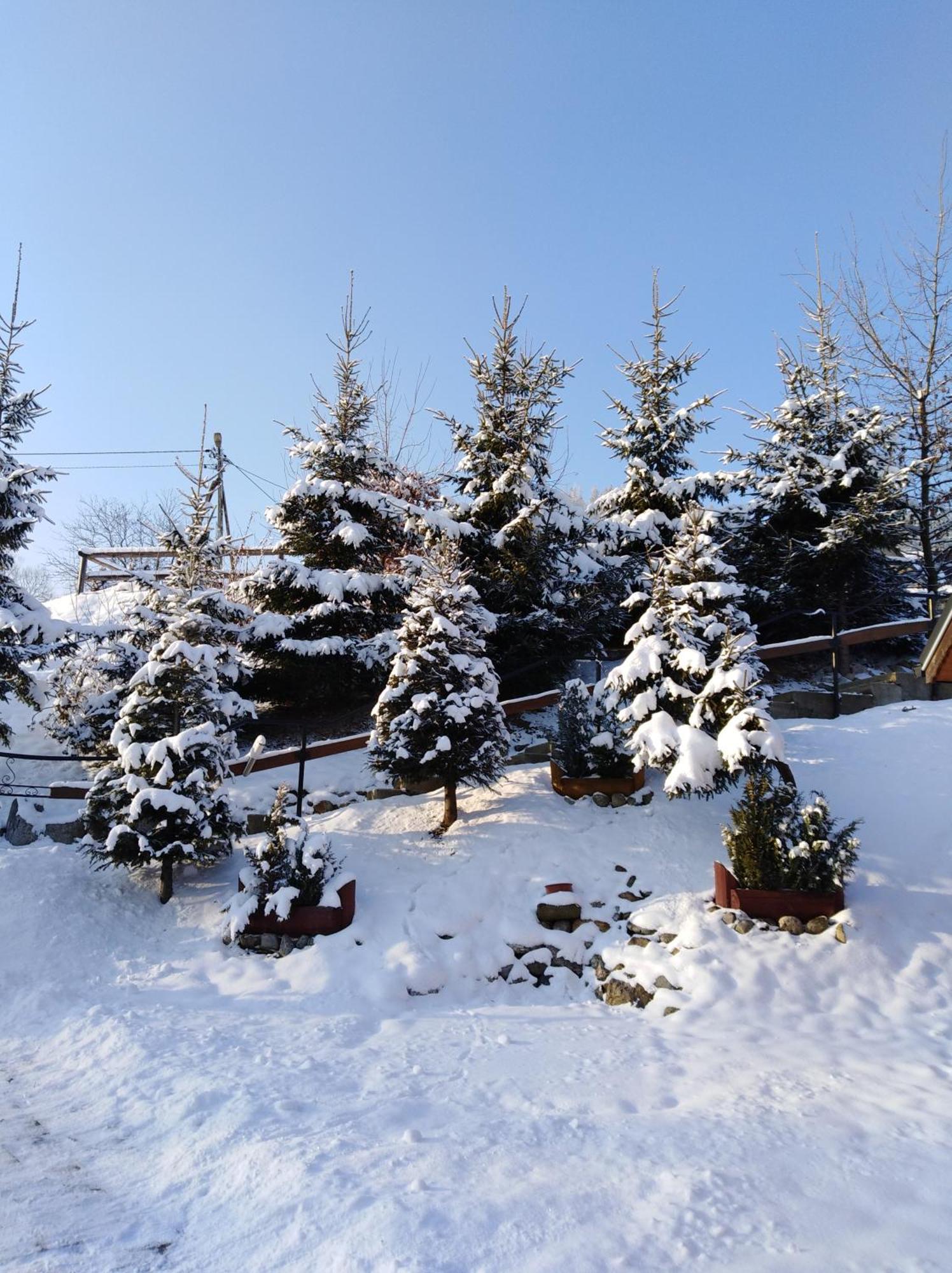Inksy Domek Harenda Zakopane Esterno foto